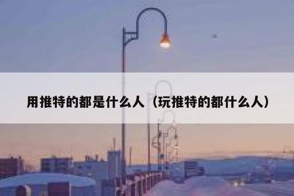 用推特的都是什么人（玩推特的都什么人） 第1张