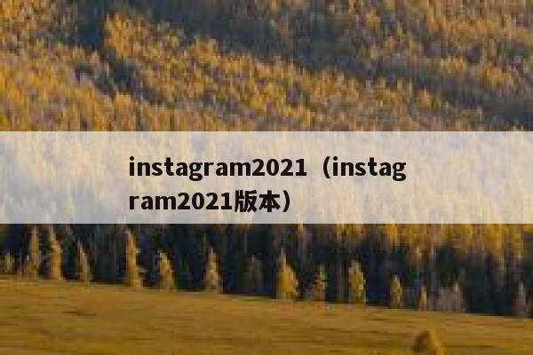 instagram2021（instagram2021版本） 第1张