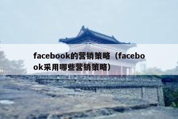 facebook的营销策略（facebook采用哪些营销策略） 第1张