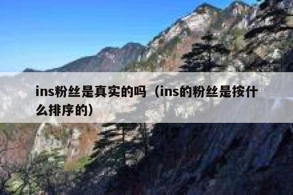 ins粉丝是真实的吗（ins的粉丝是按什么排序的） 第1张