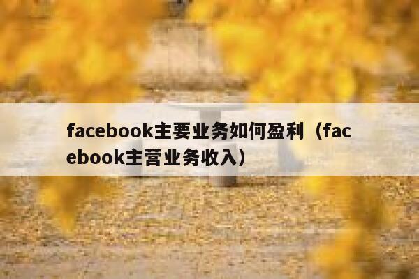facebook主要业务如何盈利(facebook主营业务收入) 第1张 facebook主要业务如何盈利(facebook主营业务收入) 第1张