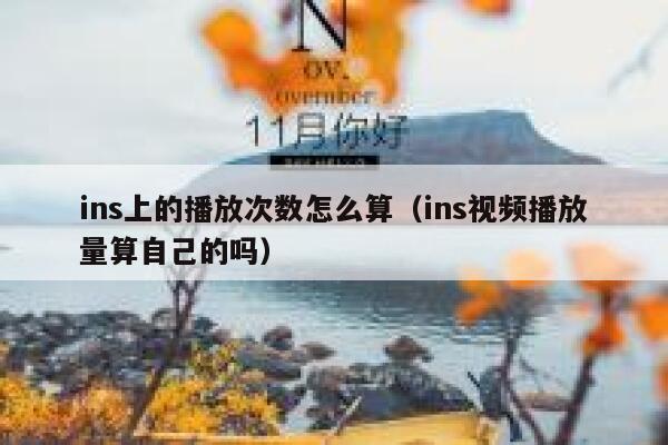 ins上的播放次数怎么算（ins视频播放量算自己的吗） 第1张