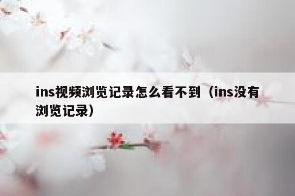 ins视频浏览记录怎么看不到（ins没有浏览记录） 第1张