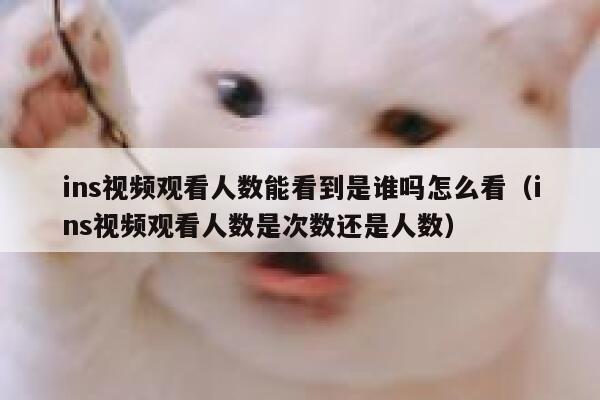 ins视频观看人数能看到是谁吗怎么看(ins视频观看人数是次数还是人数) 第1张 ins视频观看人数能看到是谁吗怎么看(ins视频观看人数是次数还是人数) 第1张