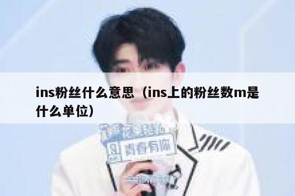 ins粉丝什么意思（ins上的粉丝数m是什么单位） 第1张
