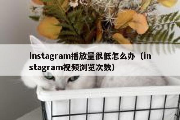 instagram播放量很低怎么办(instagram视频浏览次数) 第1张 instagram播放量很低怎么办(instagram视频浏览次数) 第1张