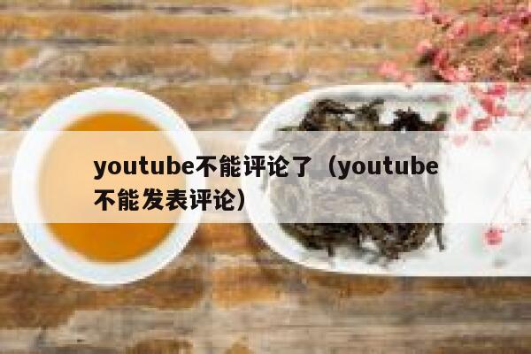 youtube不能评论了(youtube不能发表评论) 第1张 youtube不能评论了(youtube不能发表评论) 第1张
