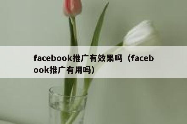 facebook推广有效果吗(facebook推广有用吗) 第1张 facebook推广有效果吗(facebook推广有用吗) 第1张