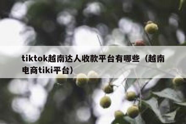 tiktok越南达人收款平台有哪些(越南电商tiki平台) 第1张 tiktok越南达人收款平台有哪些(越南电商tiki平台) 第1张