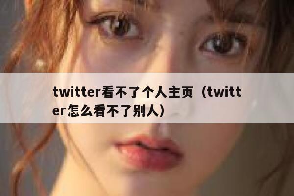 twitter看不了个人主页（twitter怎么看不了别人） 第1张