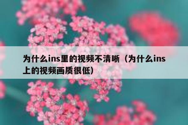 为什么ins里的视频不清晰（为什么ins上的视频画质很低） 第1张