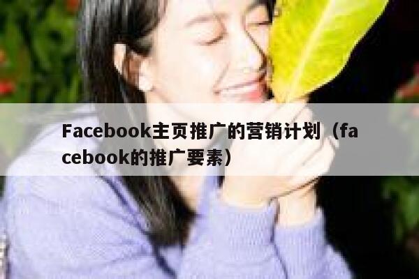 Facebook主页推广的营销计划（facebook的推广要素） 第1张