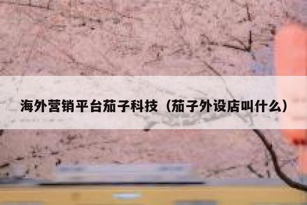 海外营销平台茄子科技（茄子外设店叫什么） 第1张