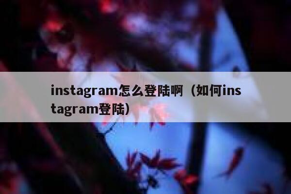 instagram怎么登陆啊（如何instagram登陆） 第1张