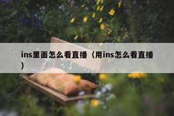 ins里面怎么看直播（用ins怎么看直播） 第1张