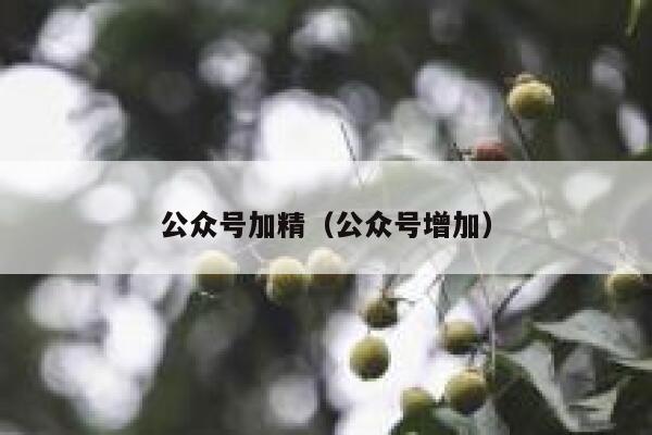 公众号加精（公众号增加） 第1张