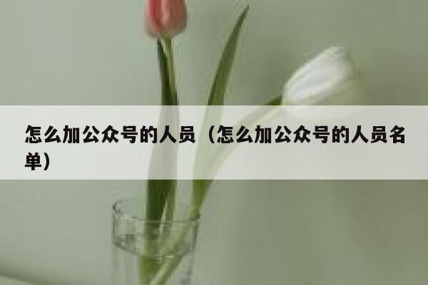 怎么加公众号的人员（怎么加公众号的人员名单） 第1张