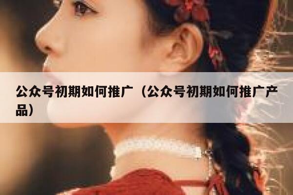 公众号初期如何推广（公众号初期如何推广产品） 第1张