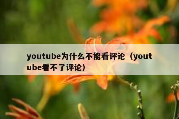 youtube为什么不能看评论（youtube看不了评论） 第1张