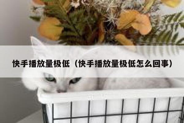 快手播放量极低（快手播放量极低怎么回事） 第1张