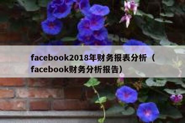 facebook2018年财务报表分析（facebook财务分析报告） 第1张