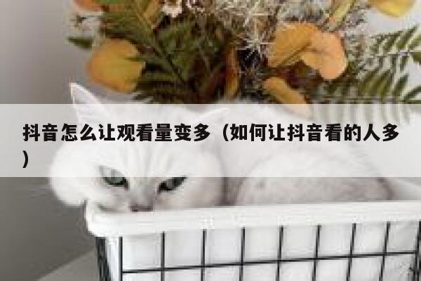 抖音怎么让观看量变多（如何让抖音看的人多） 第1张