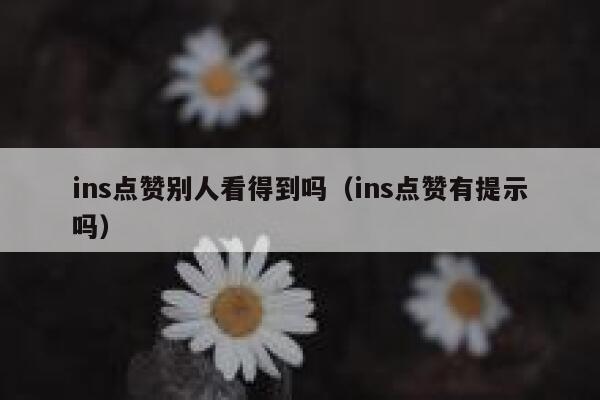 ins点赞别人看得到吗（ins点赞有提示吗） 第1张