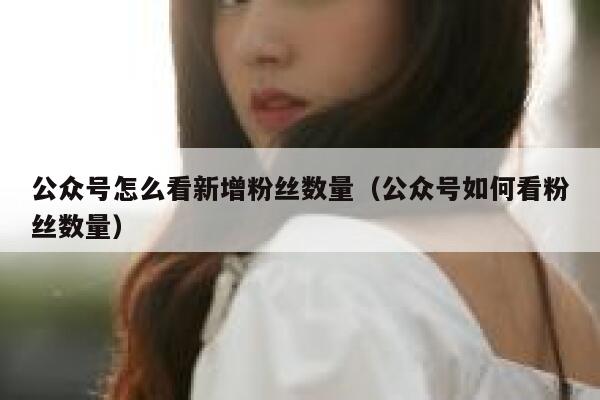 公众号怎么看新增粉丝数量（公众号如何看粉丝数量） 第1张