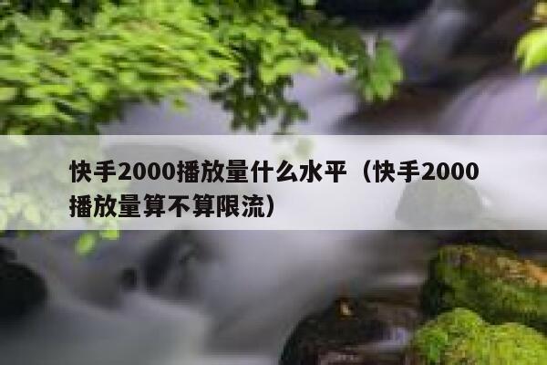快手2000播放量什么水平（快手2000播放量算不算限流） 第1张