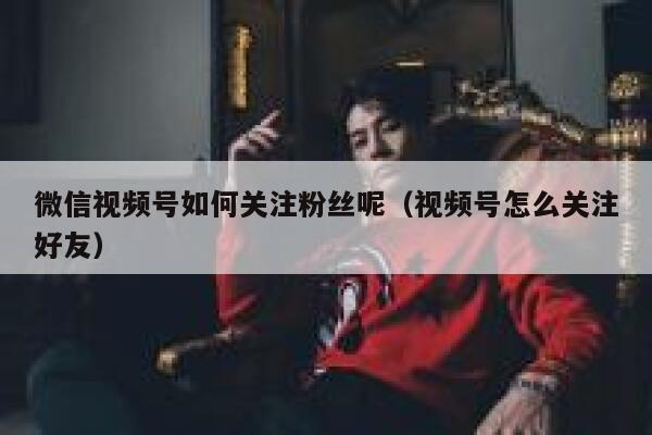 微信视频号如何关注粉丝呢（视频号怎么关注好友） 第1张