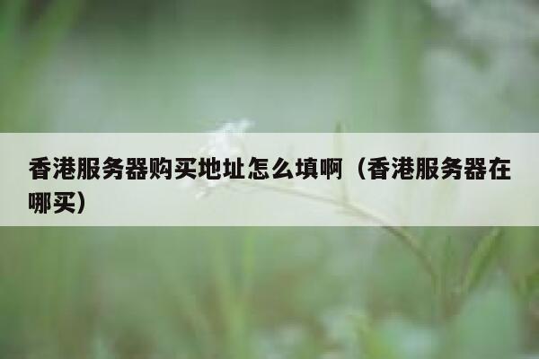 香港服务器购买地址怎么填啊（香港服务器在哪买） 第1张