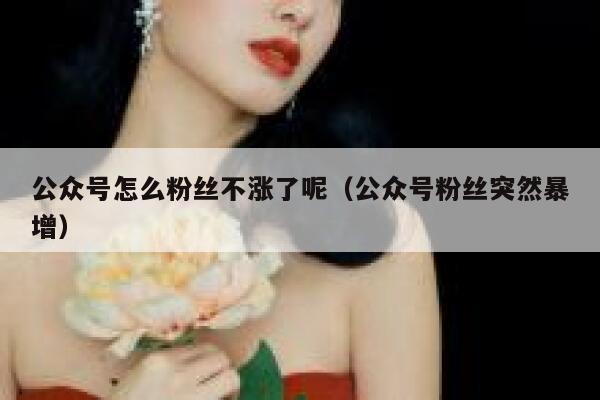 公众号怎么粉丝不涨了呢（公众号粉丝突然暴增） 第1张