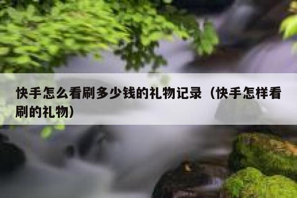 快手怎么看刷多少钱的礼物记录(快手怎样看刷的礼物) 第1张 快手怎么看刷多少钱的礼物记录(快手怎样看刷的礼物) 第1张