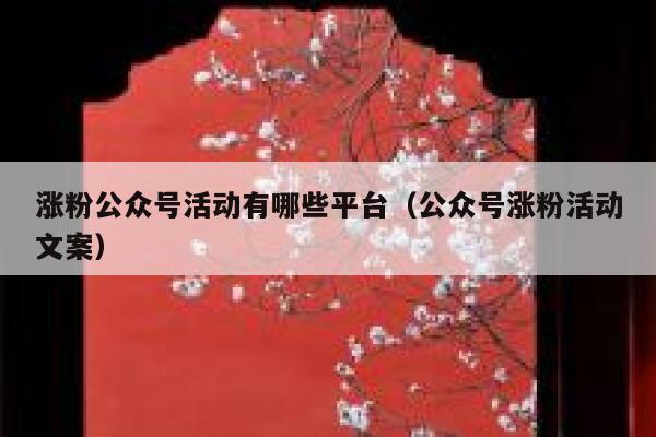 涨粉公众号活动有哪些平台（公众号涨粉活动文案） 第1张