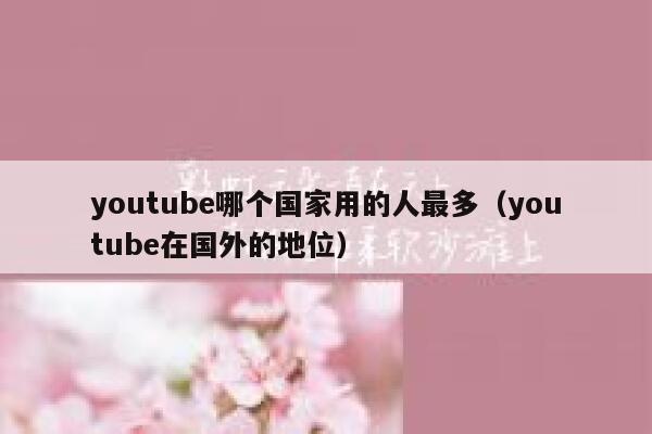 youtube哪个国家用的人最多（youtube在国外的地位） 第1张