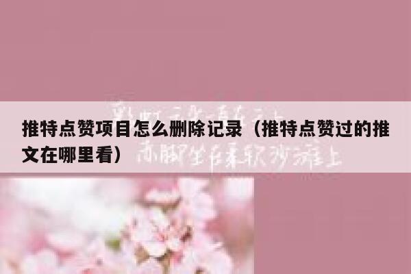 推特点赞项目怎么删除记录（推特点赞过的推文在哪里看） 第1张