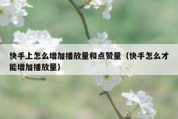 快手上怎么增加播放量和点赞量(快手怎么才能增加播放量) 第1张 快手上怎么增加播放量和点赞量(快手怎么才能增加播放量) 第1张