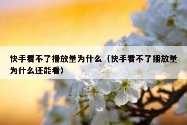 快手看不了播放量为什么（快手看不了播放量为什么还能看） 第1张