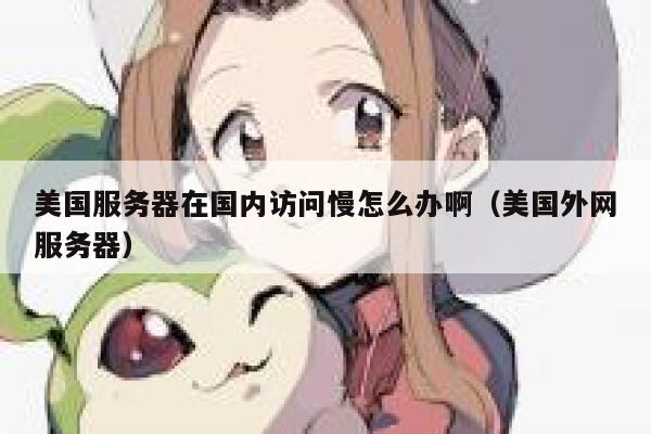 美国服务器在国内访问慢怎么办啊（美国外网服务器） 第1张