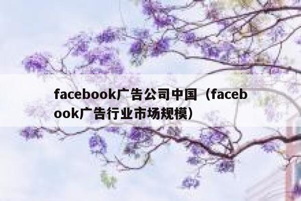 facebook广告公司中国（facebook广告行业市场规模） 第1张