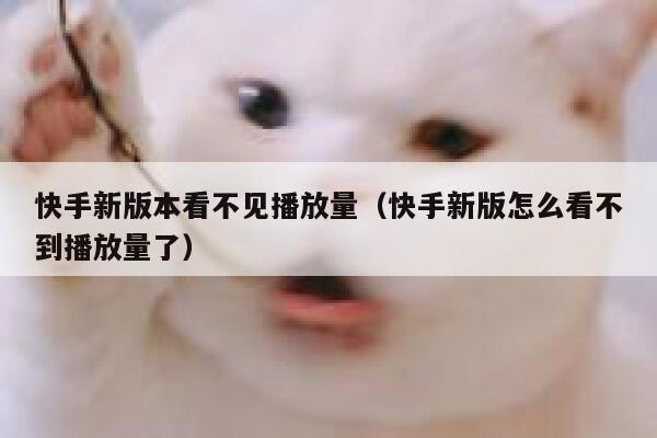 快手新版本看不见播放量（快手新版怎么看不到播放量了） 第1张