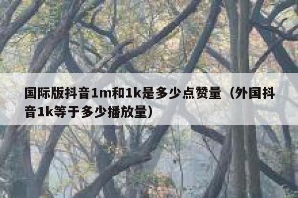 国际版抖音1m和1k是多少点赞量（外国抖音1k等于多少播放量） 第1张