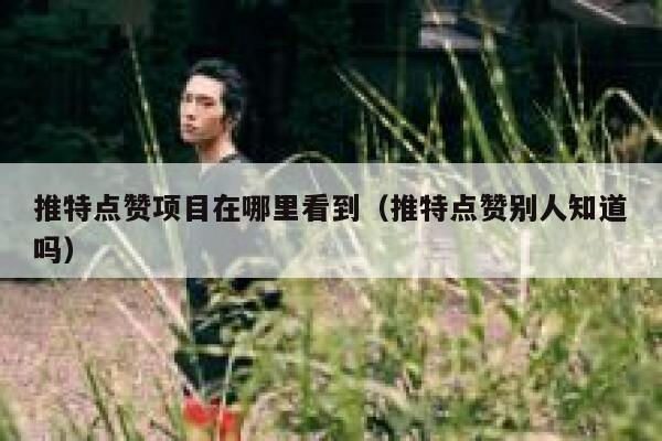 推特点赞项目在哪里看到（推特点赞别人知道吗） 第1张