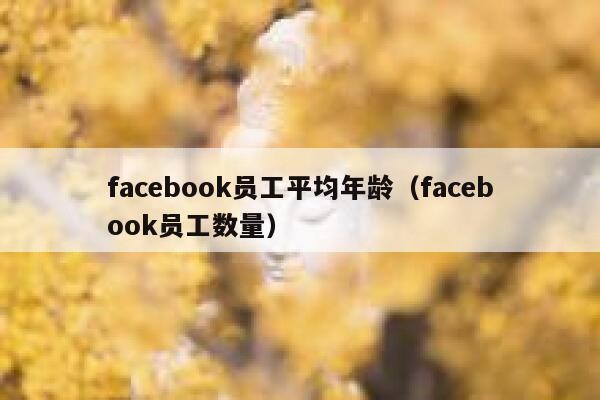 facebook员工平均年龄（facebook员工数量） 第1张