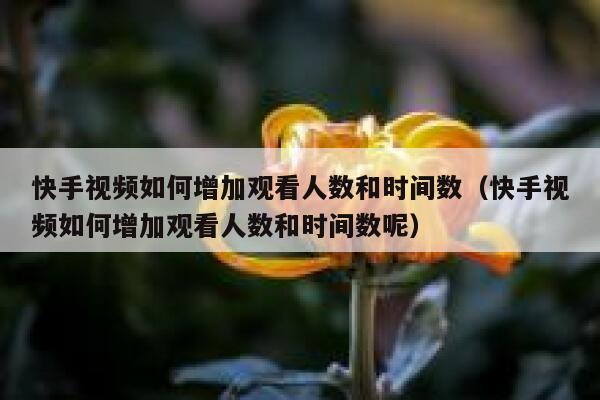快手视频如何增加观看人数和时间数（快手视频如何增加观看人数和时间数呢） 第1张