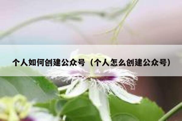 个人如何创建公众号(个人怎么创建公众号) 第1张 个人如何创建公众号(个人怎么创建公众号) 第1张
