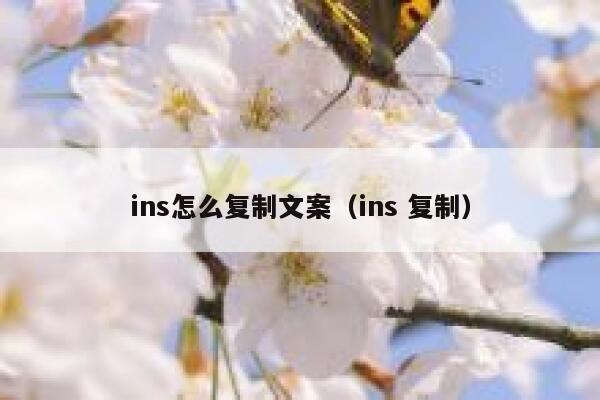 ins怎么复制文案（ins 复制） 第1张