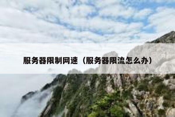 服务器限制网速（服务器限流怎么办） 第1张