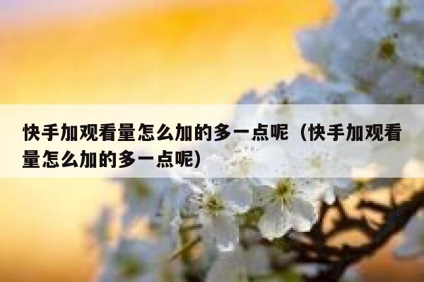 快手加观看量怎么加的多一点呢(快手加观看量怎么加的多一点呢) 第1张 快手加观看量怎么加的多一点呢(快手加观看量怎么加的多一点呢) 第1张