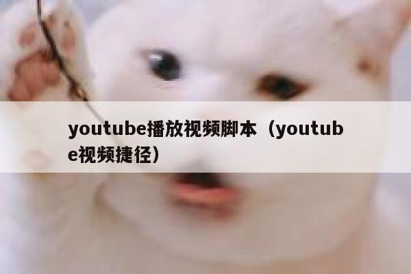 youtube播放视频脚本（youtube视频捷径） 第1张